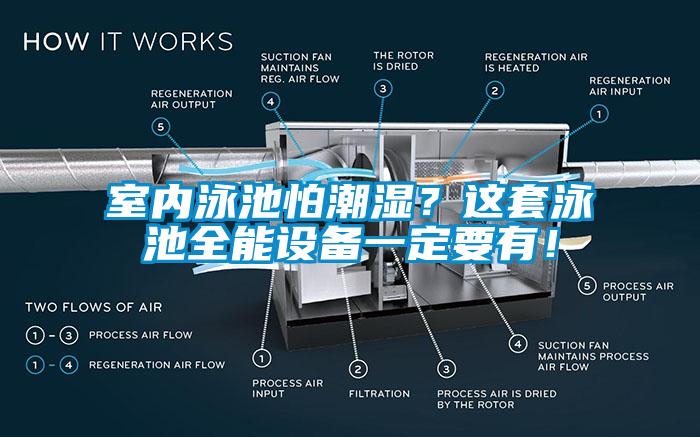 室內泳池怕潮濕？這套泳池全能設備一定要有！