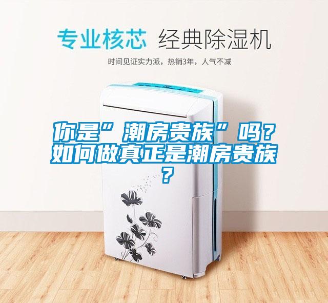 你是”潮房貴族”嗎？如何做真正是潮房貴族？