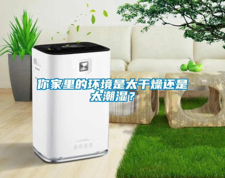 你家里的環境是太干燥還是太潮濕？