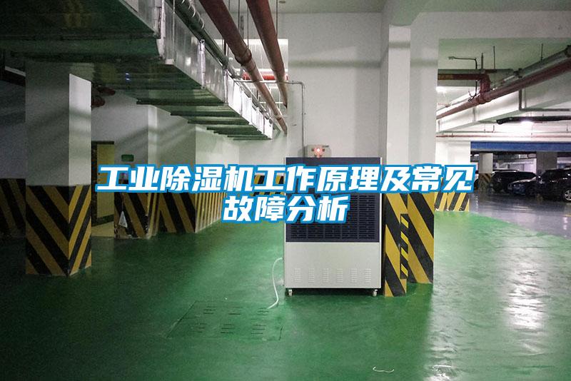 工業除濕機工作原理及常見故障分析