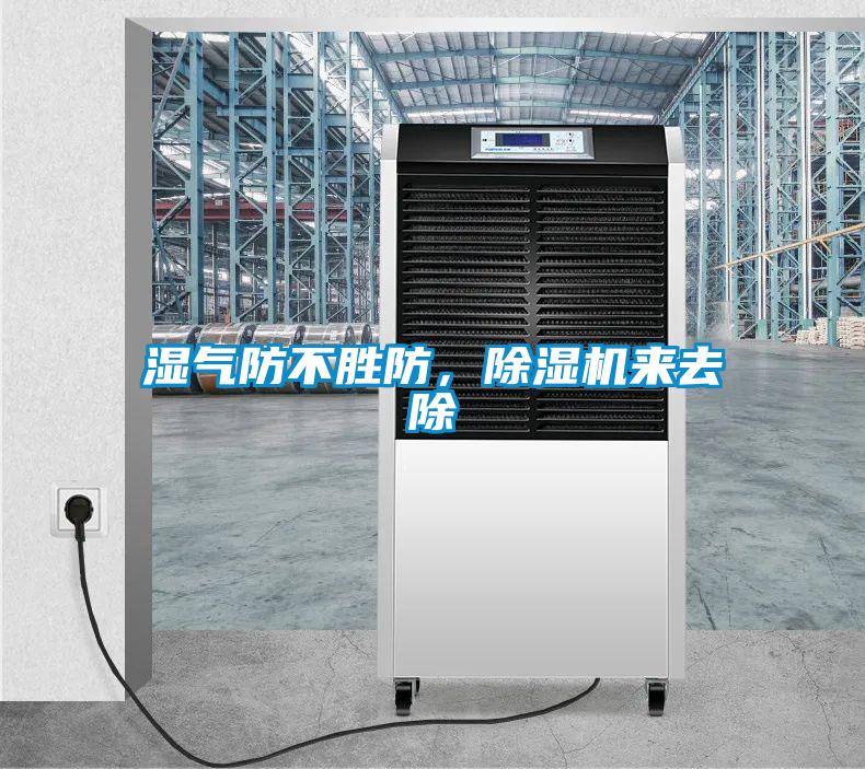 濕氣防不勝防，除濕機來去除