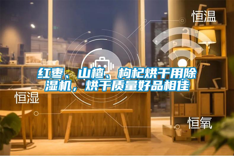 紅棗、山楂、枸杞烘干用除濕機，烘干質量好品相佳