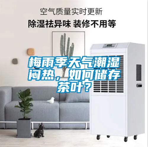 梅雨季天氣潮濕悶熱，如何儲存茶葉？