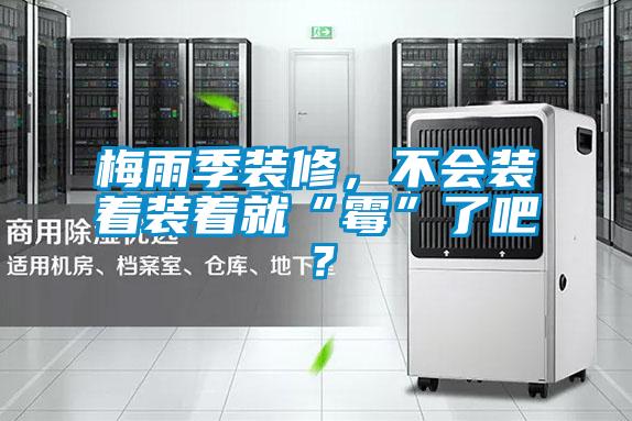 梅雨季裝修，不會裝著裝著就“霉”了吧？