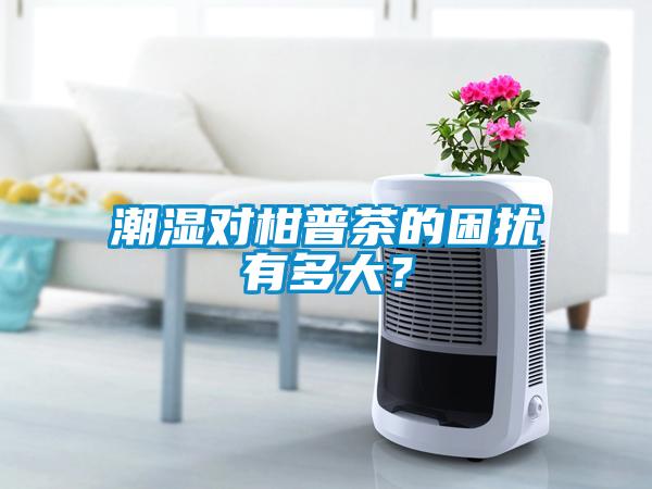 潮濕對柑普茶的困擾有多大？
