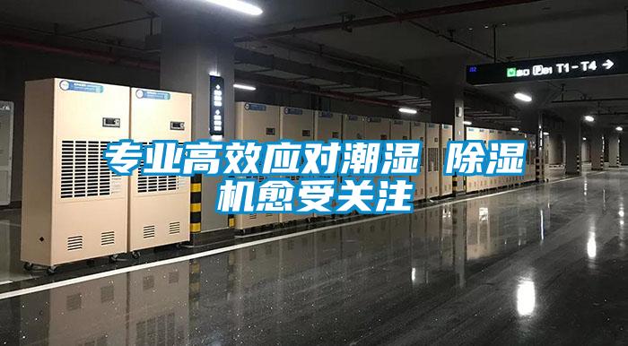 專業高效應對潮濕 除濕機愈受關注