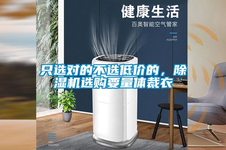 只選對的不選低價的，除濕機選購要量體裁衣