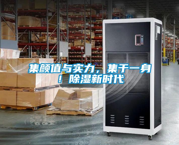 集顏值與實力，集于一身！除濕新時代