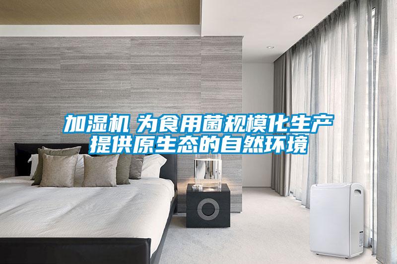 加濕機　為食用菌規?；a提供原生態的自然環境