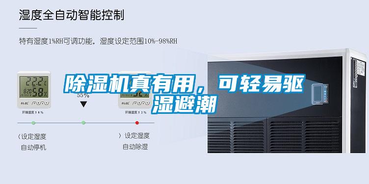除濕機真有用，可輕易驅濕避潮