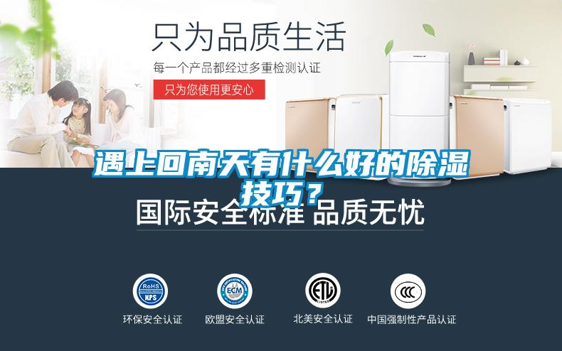 遇上回南天有什么好的除濕技巧？