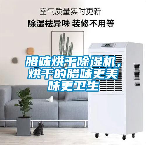 臘味烘干除濕機(jī)，烘干的臘味更美味更衛(wèi)生