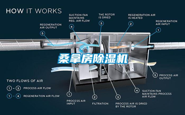 桑拿房除濕機