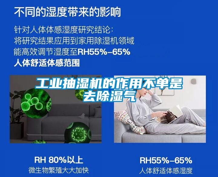 工業抽濕機的作用不單是去除濕氣