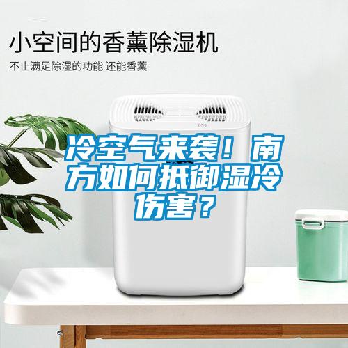 冷空氣來襲！南方如何抵御濕冷傷害？