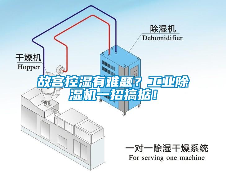 故宮控濕有難題？工業(yè)除濕機(jī)一招搞掂！