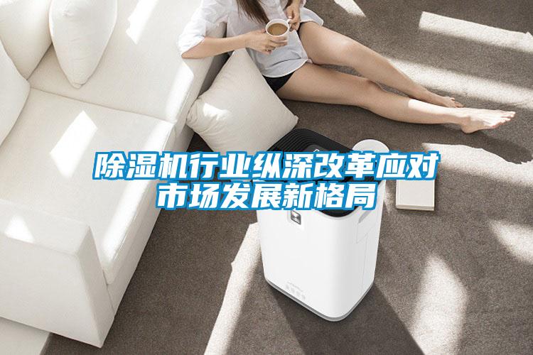 除濕機行業(yè)縱深改革應對市場發(fā)展新格局
