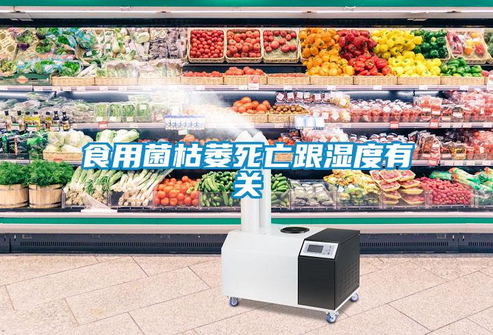 食用菌枯萎死亡跟濕度有關