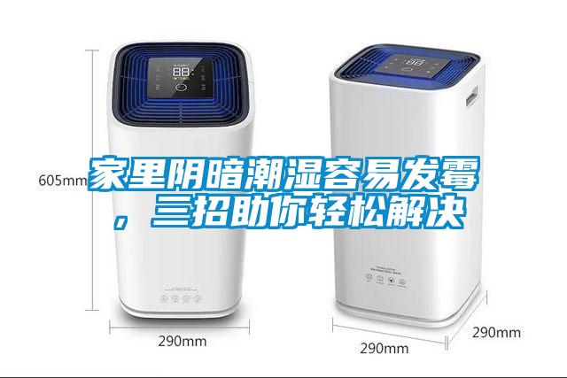 家里陰暗潮濕容易發霉，三招助你輕松解決