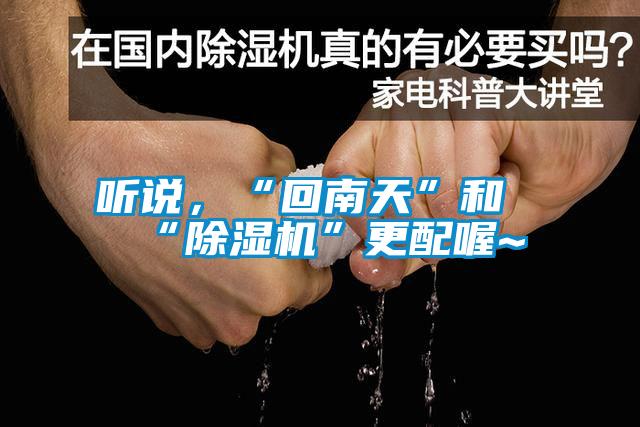 聽說，“回南天”和“除濕機(jī)”更配喔~