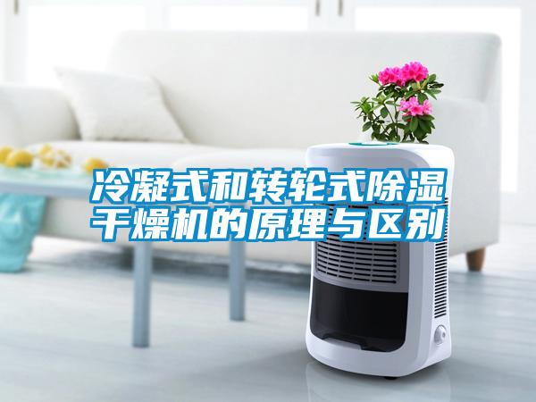 冷凝式和轉輪式除濕干燥機的原理與區別