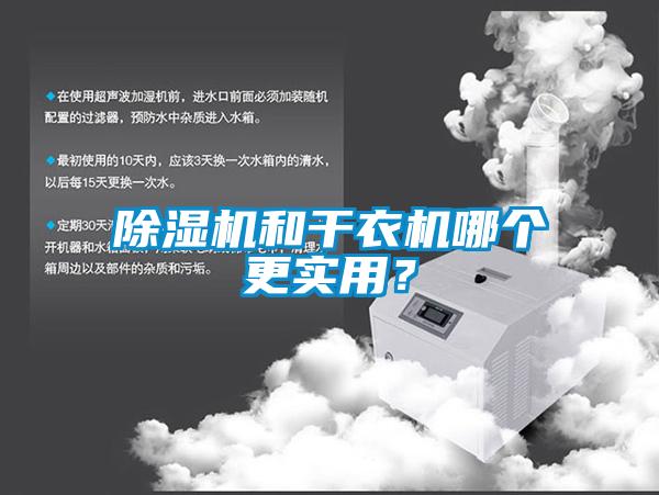 除濕機和干衣機哪個更實用？