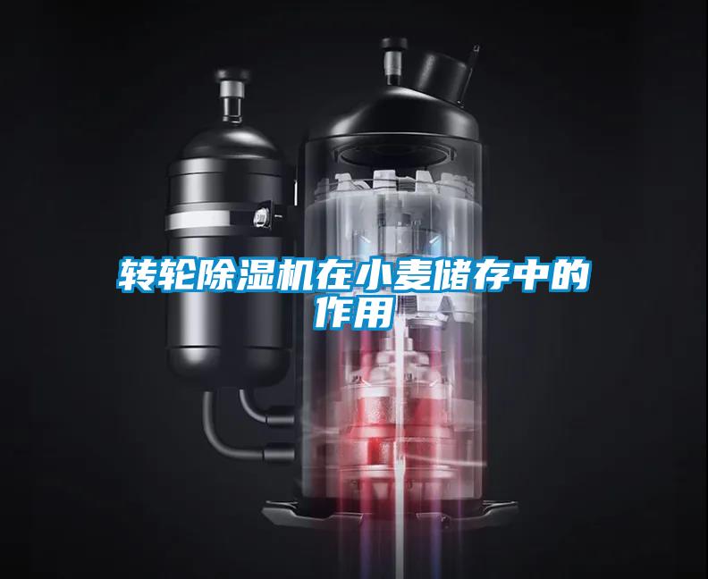 轉輪除濕機在小麥儲存中的作用