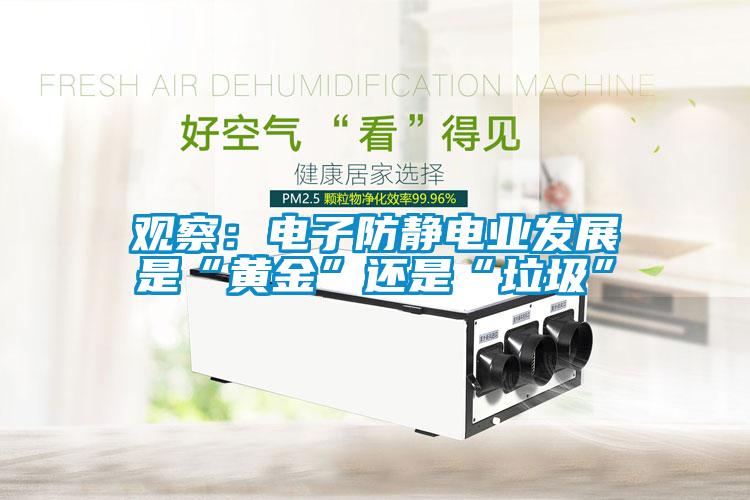 觀察：電子防靜電業發展是“黃金”還是“垃圾”