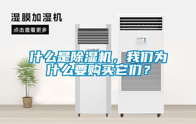 什么是除濕機，我們為什么要購買它們？