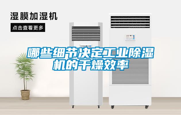 哪些細節決定工業除濕機的干燥效率