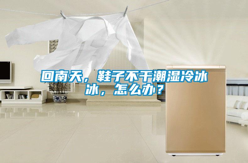 回南天，鞋子不干潮濕冷冰冰，怎么辦？