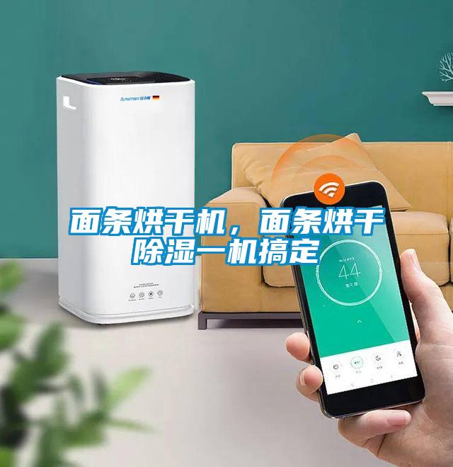 面條烘干機，面條烘干除濕一機搞定