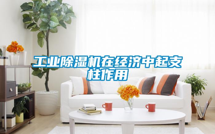 工業除濕機在經濟中起支柱作用