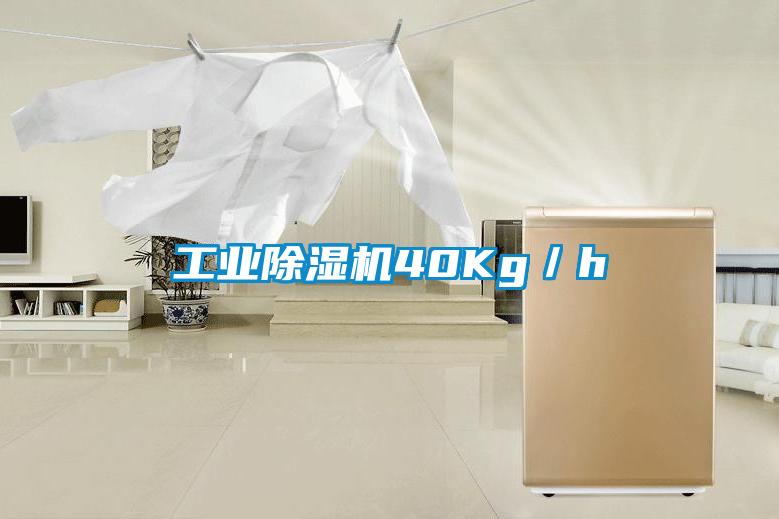 工業除濕機40Kg／h