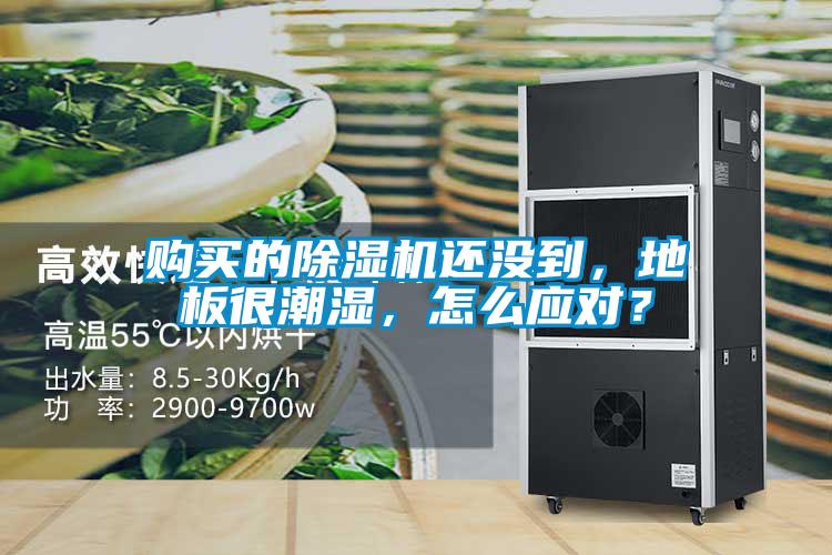 購買的除濕機還沒到，地板很潮濕，怎么應對？