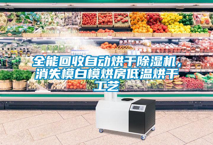 全能回收自動(dòng)烘干除濕機(jī)，消失模白模烘房低溫烘干工藝