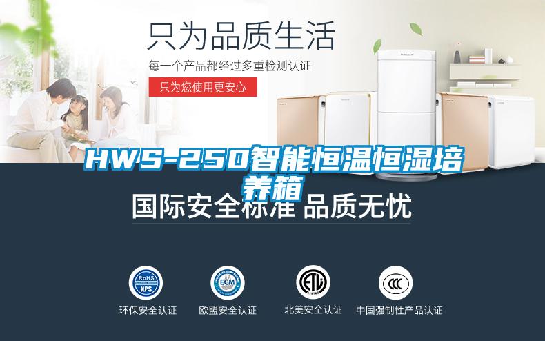 HWS-250智能恒溫恒濕培養箱