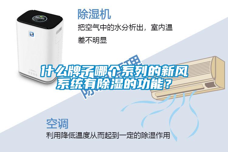 什么牌子哪個系列的新風系統有除濕的功能？