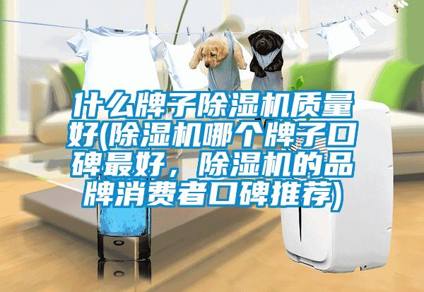 什么牌子除濕機(jī)質(zhì)量好(除濕機(jī)哪個(gè)牌子口碑最好，除濕機(jī)的品牌消費(fèi)者口碑推薦)