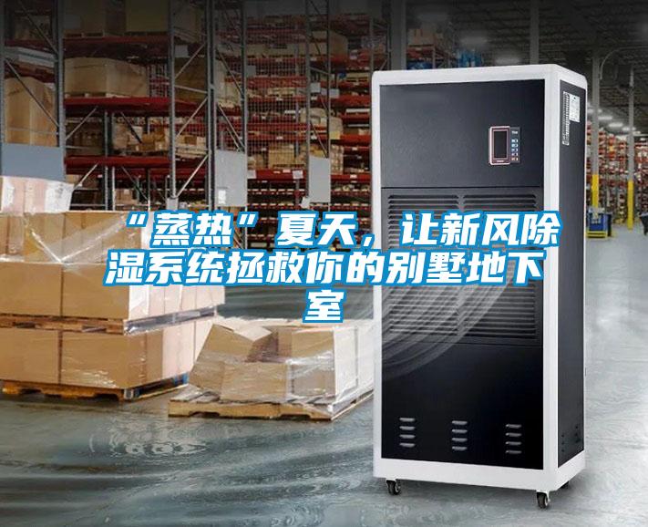 “蒸熱”夏天，讓新風(fēng)除濕系統(tǒng)拯救你的別墅地下室