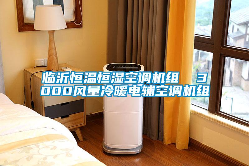 臨沂恒溫恒濕空調機組  3000風量冷暖電輔空調機組