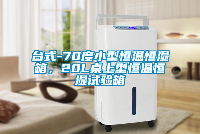 臺式-70度小型恒溫恒濕箱，20L桌上型恒溫恒濕試驗箱