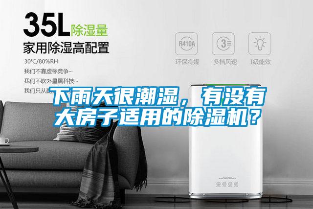 下雨天很潮濕，有沒有大房子適用的除濕機？