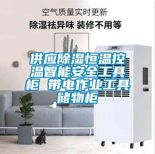 供應除濕恒溫控溫智能安全工具柜 帶電作業工具儲物柜