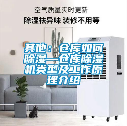 其他：倉(cāng)庫(kù)如何除濕—倉(cāng)庫(kù)除濕機(jī)類(lèi)型及工作原理介紹