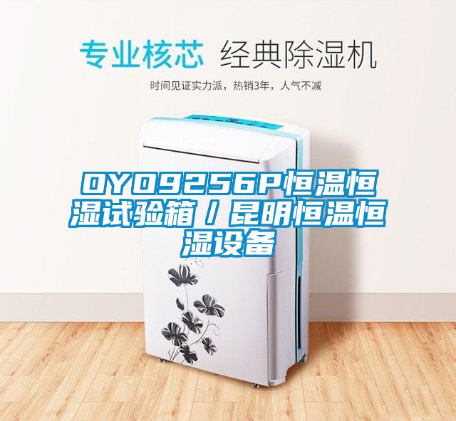OYO9256P恒溫恒濕試驗箱／昆明恒溫恒濕設(shè)備
