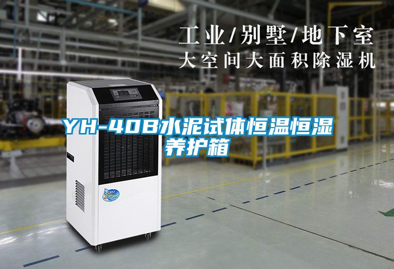 YH-40B水泥試體恒溫恒濕養護箱