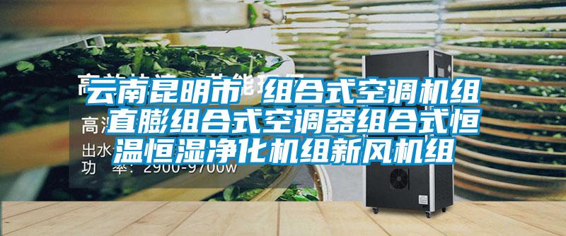 云南昆明市 組合式空調機組 直膨組合式空調器組合式恒溫恒濕凈化機組新風機組