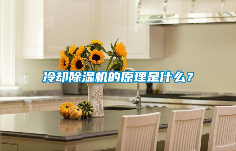 冷卻除濕機的原理是什么？
