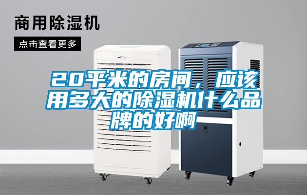 20平米的房間，應該用多大的除濕機什么品牌的好啊
